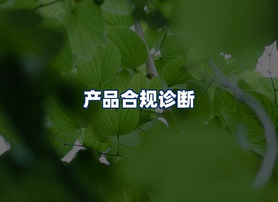 CE认证咨询服务场景